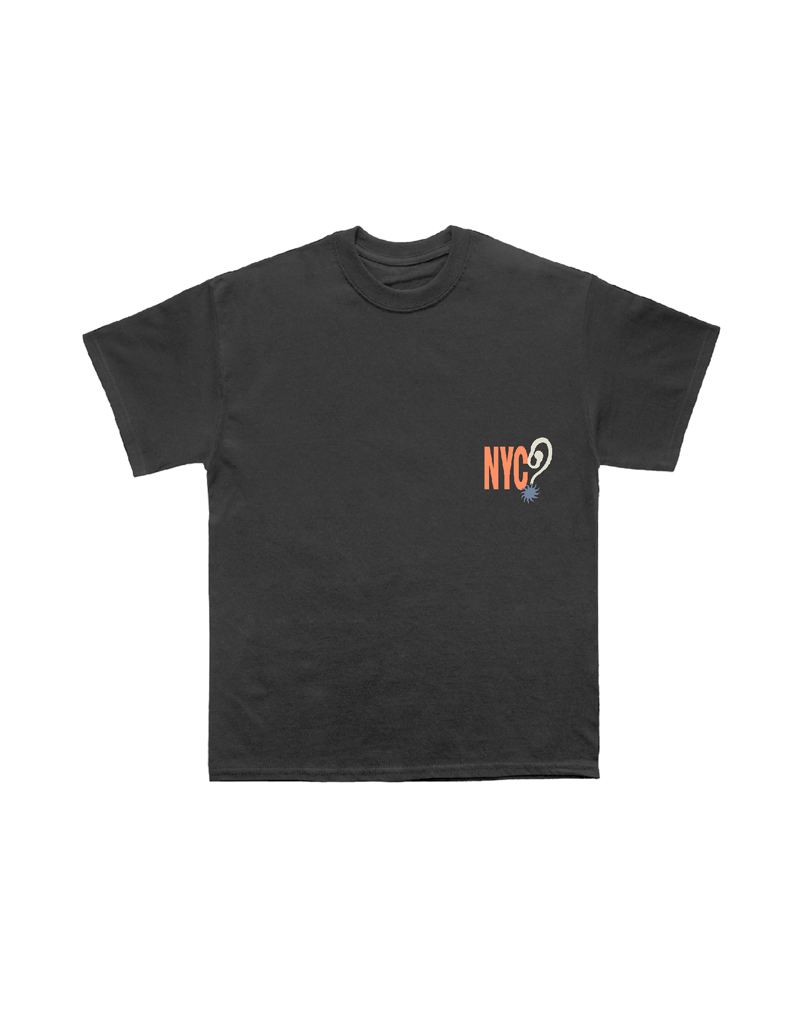 HDWGH? MSG, NEW YORK | Black T-Shirt