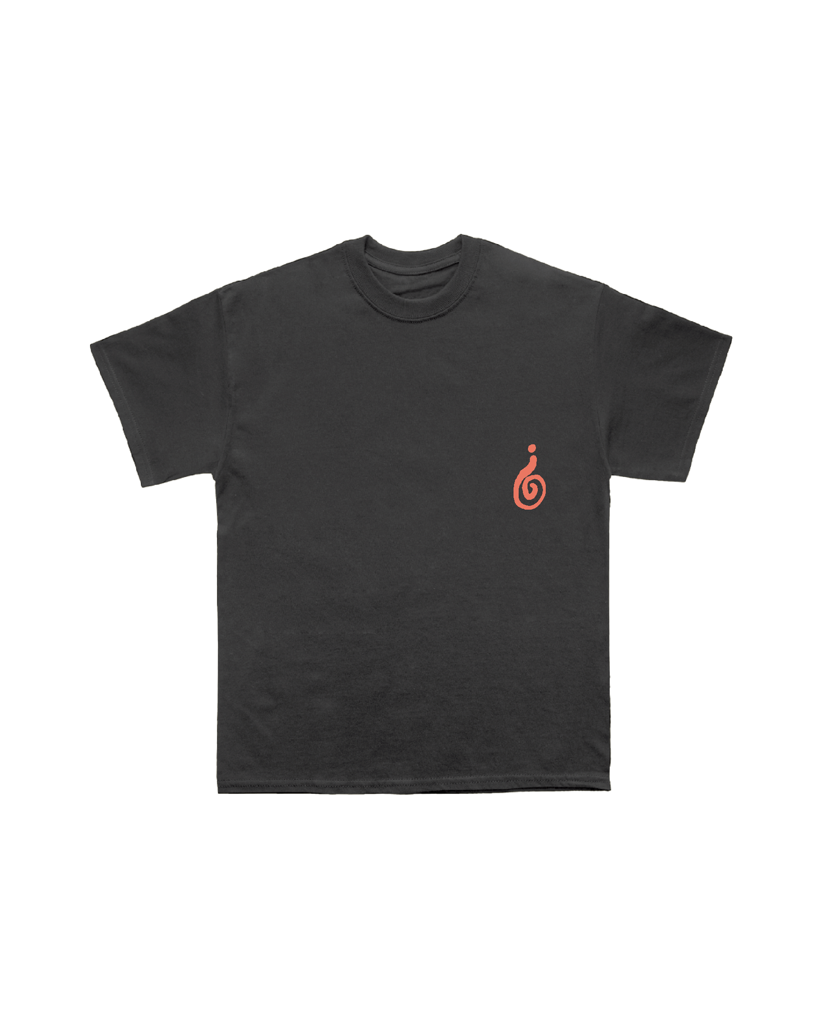 How Did We Get Here? North America Tour | Black T-Shirt