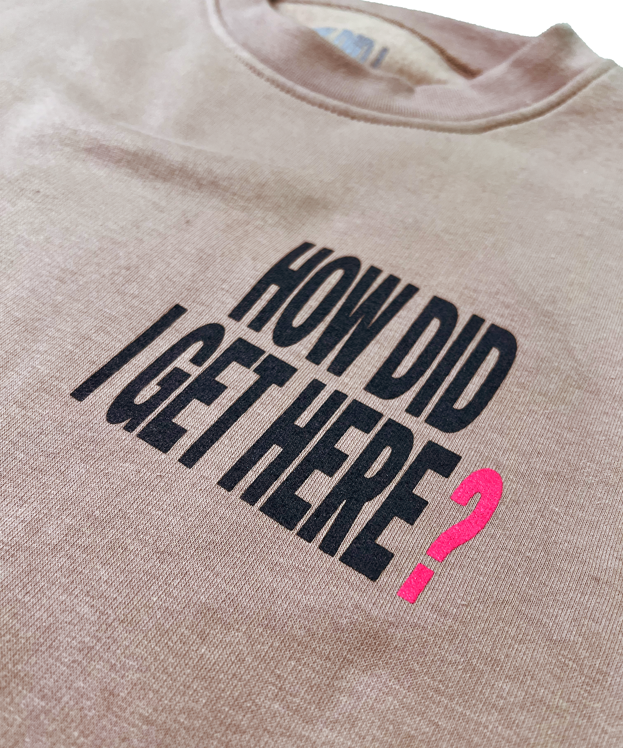 How Did I Get Here? | Beige Crewneck