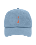 How Did We Get Here? Tour | Blue Cap